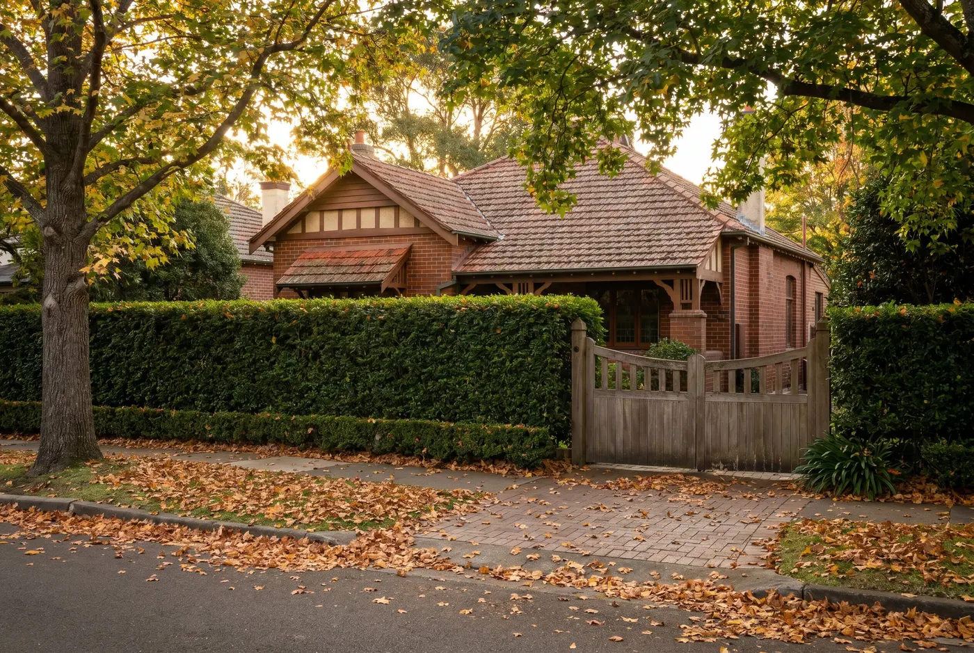 A Federation-era brick home in Turramurra behind a deep clipped hedge and timber gate, autumn leaves on the footpath